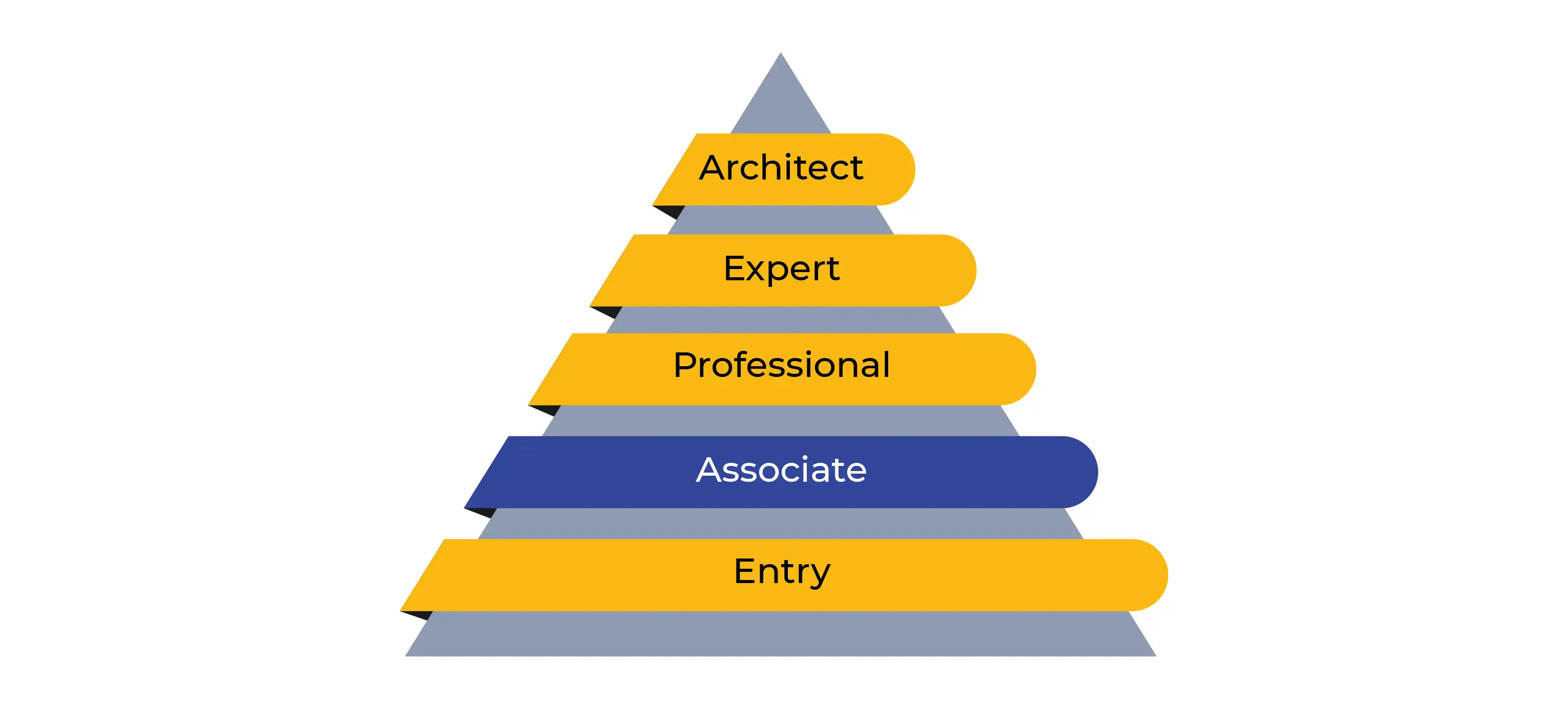 CCNA The Right Choice in 2024 Blog Image