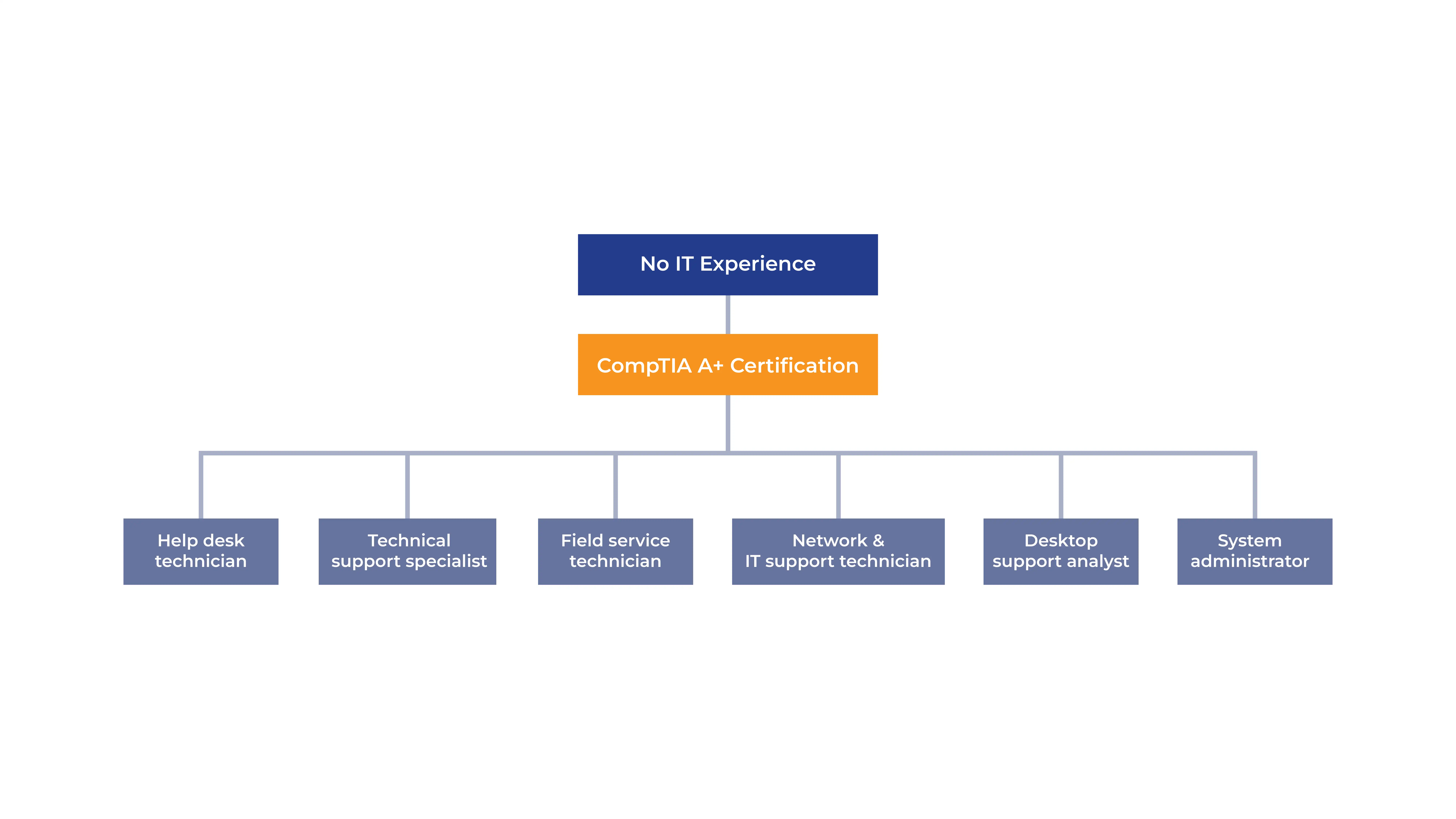 Flowchart showing job roles after CompTIA A+ certification